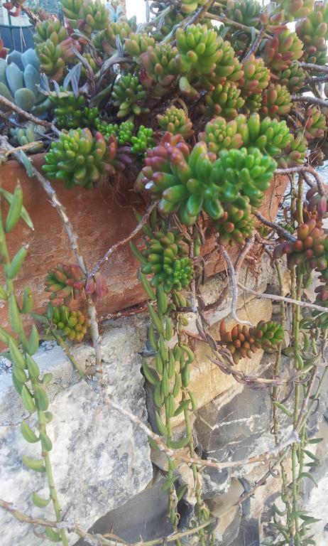 Appartamento Residenza Il Poggio San Bartolomeo Al Mare Esterno foto